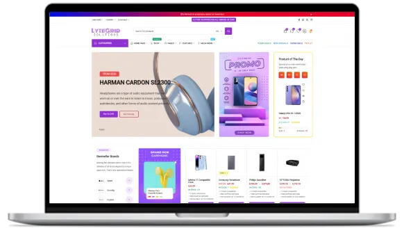 LyteGrid Solutions-Introduction