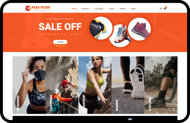 PeakPulse-Project in Figures