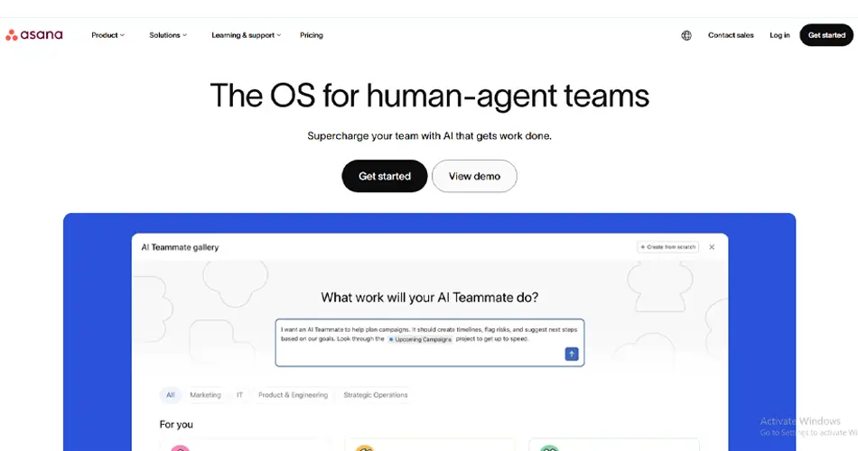 Asana Website Design