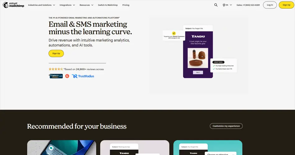 Mailchimp Website Design