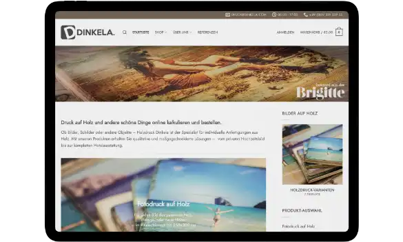 dinkela-introduction