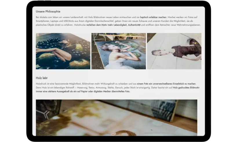 dinkela-project-in-figures